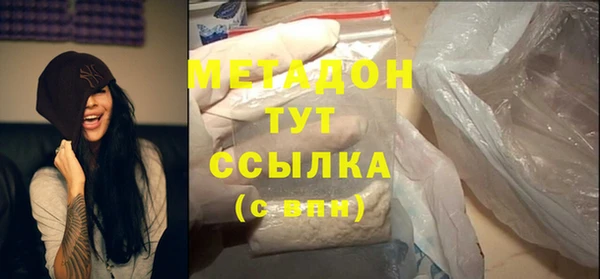 прущие грибы Горно-Алтайск