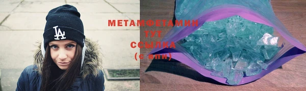 прущие грибы Горно-Алтайск
