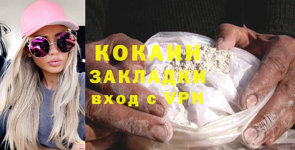 прущие грибы Горно-Алтайск