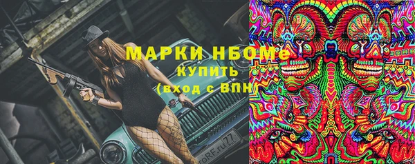 прущие грибы Горно-Алтайск