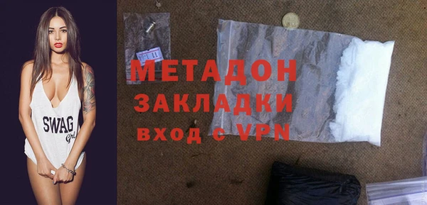 прущие грибы Горно-Алтайск