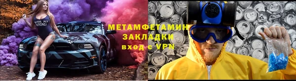 прущие грибы Горно-Алтайск